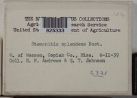 Image Associated With the Occurence